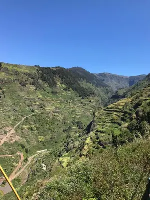 a view of a valley with trees and mountains at Casa do Avô in Ponta do Sol