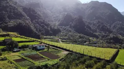 an aerial view of a valley with a mountain at Quinta do Conde by LovelyStay in Boaventura