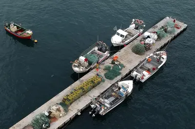 a group of boats tied to a dock in the water at 205 Casa Cactus in Sagres