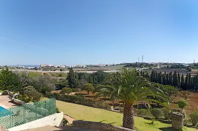 a view of a garden with a palm tree at 607 Villa Lorena in Lagos