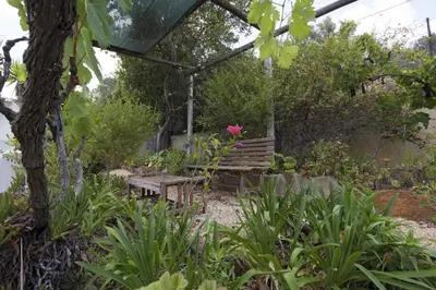 a bench in a garden with a pink flower at 607 Villa Lorena in Lagos