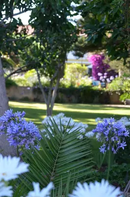 a bunch of purple flowers in a garden at Cozy Studio with garden view in Praia da Luz in Luz