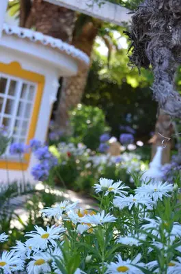 a garden with white flowers in front of a house at Cozy Studio with garden view in Praia da Luz in Luz