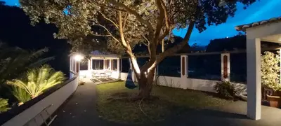 a house with a tree in the yard at night at Paraíso Resiliente in Santana