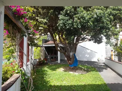 a tree in a yard next to a house at Paraíso Resiliente in Santana