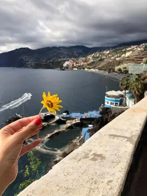 a person holding a yellow flower in front of a body of water at Atlantic Gardens Beach - atlanticgardensbeach com in Funchal