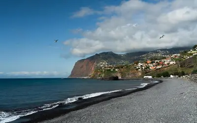 a beach with birds flying over the water at Atlantic Gardens Beach - atlanticgardensbeach com in Funchal