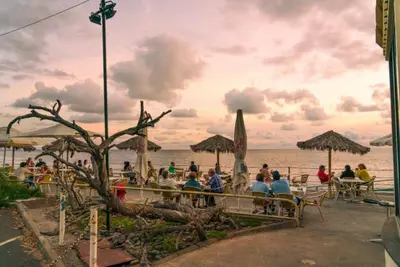 a group of people sitting at a bar on the beach at Atlantic Gardens Beach - atlanticgardensbeach com in Funchal