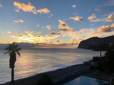 a view of the ocean with a palm tree on the beach at Atlantic Gardens Beach - atlanticgardensbeach com in Funchal