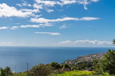 a view of the ocean from a hill at Strategic Sunset House by An Island Apart in Santa Cruz