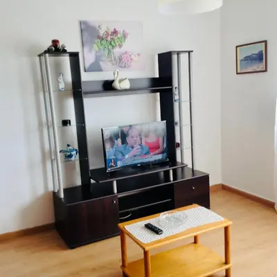 a living room with a tv in a black entertainment center at Apartamento Maria Fernanda, in the Centre of Luz in Luz