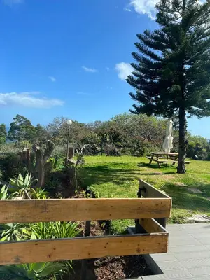 a wooden bench in a park with a tree at Discovery Apartment with patio Discovery 2 in Machico