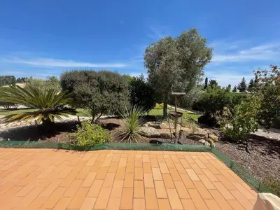 a garden with palm trees and a brick patio at Villa Rubix in Luz