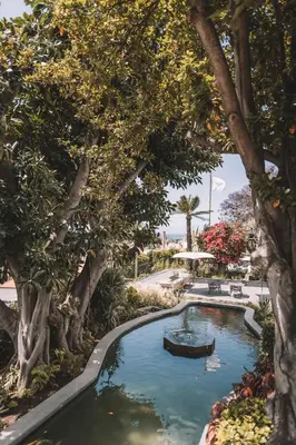 a pool with trees and a boat in it at QUINTA TORRINHA GARDEN Apartment in Funchal