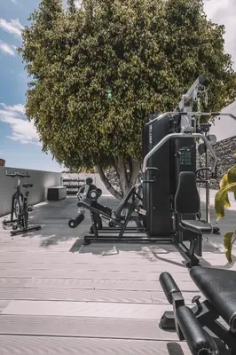 a gym with several exercise bikes and a tree at QUINTA TORRINHA LUXODREAM Apartment in Funchal