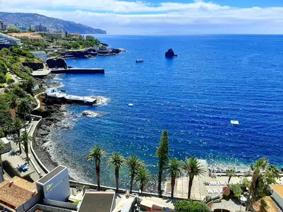 a view of a large body of water with palm trees at Superb Sea View Flat in Funchal in Funchal