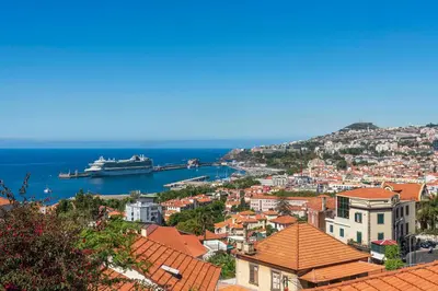 a view of a city with a cruise ship in the water at Vila Boa Vista by An Island Apart in Funchal