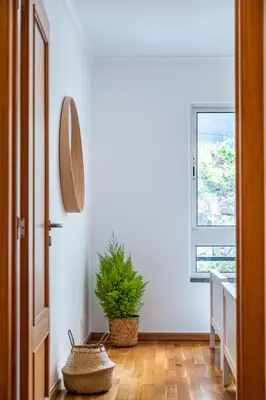 a hallway with a mirror and a potted plant at Lovely apartment at the best location in Funchal in Funchal