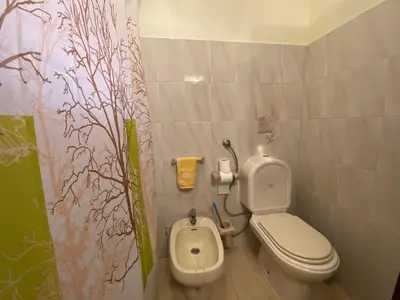 a small bathroom with a toilet and a bidet at Maria's House - São Jorge in Santana