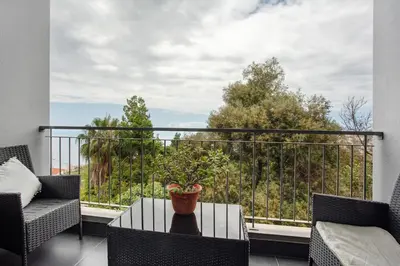 a balcony with a table with a potted plant on it at Costa Avila 2 in Caniço