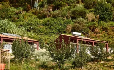 a building on a hill with bushes and trees at Yeotown Madeira Wellness Hotel and Nature Stay in Arco da Calheta