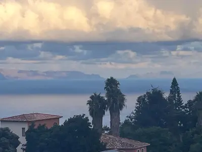 two palm trees on a hill with a house and the ocean at Central Park Sea Views in Santa Cruz
