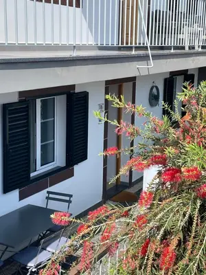 a building with black shutters and a bush with red flowers at Casa de Sao Tiago 1 in Funchal