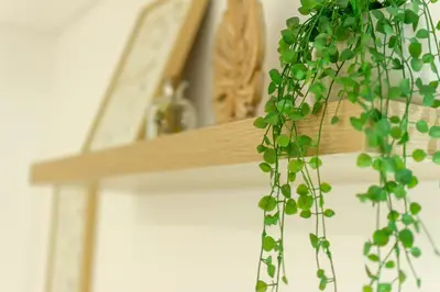 a plant is hanging from a wooden shelf at Casa de Sao Tiago 1 in Funchal