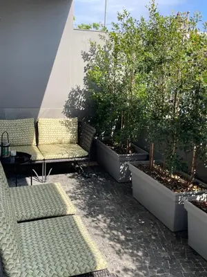 a patio with two chairs and a table and trees at Casa de Sao Tiago 1 in Funchal