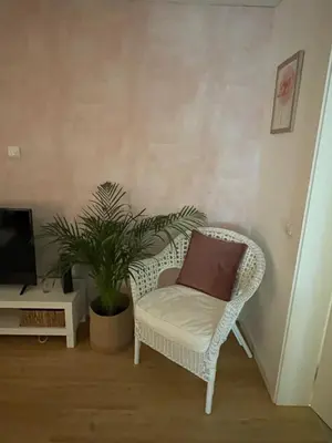 a chair with a pillow sitting next to a plant at Casa de Sao Tiago 1 in Funchal