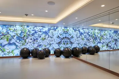 a row of black balls on a bowling alley at La Villa at The Cliff Bay - PortoBay in Funchal