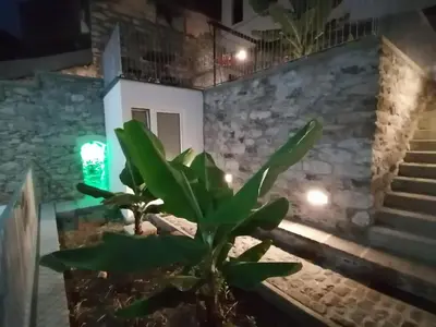 a plant in front of a building at night at Apartments Madeira Funchal City in Funchal