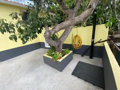 a tree in a planter next to a yellow wall at Quintinha dos Reis in Funchal