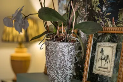 a vase with a plant in it on a table at Villa Sophia by ALMA Holiday Rentals in Caniço
