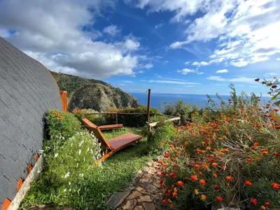 a bench sitting next to a field of flowers at The tiny black bird in Fajã da Ovelha