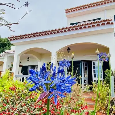 Villa Paraiso - Traumgarten