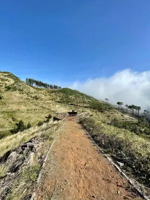 a dirt road on top of a hill at Mountain Eco Shelter 3 in Funchal