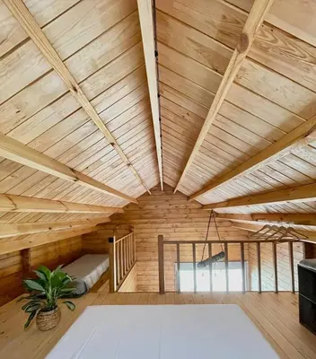 a room with a wooden ceiling with a potted plant at Mountain Eco Shelter 3 in Funchal