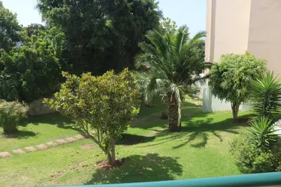 a garden with palm trees and a building at Garajau Terrace Orchids in Caniço