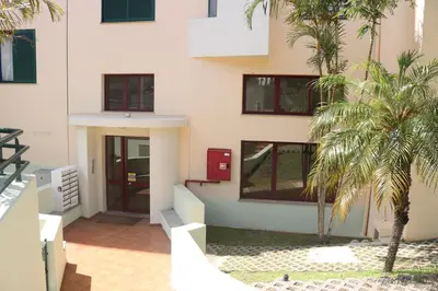 a building with a palm tree in front of it at Garajau Terrace Orchids in Caniço