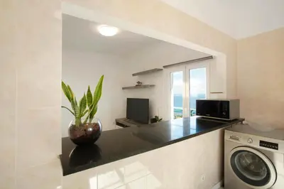 a kitchen with a counter with a plant on it at Jay Paradise in Santa Cruz