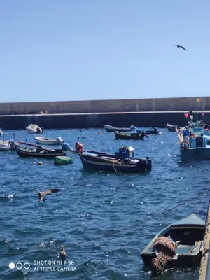 a group of boats in a body of water at Casa Bica do Cais - By the Sea in Paul do Mar