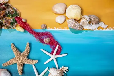 a table topped with starfish and shells on a table at Sonho Dourado Apartamento de praia in Porto Santo