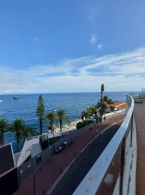 a road next to the ocean with palm trees at A Cornes Of The Atlantic in Funchal
