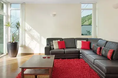a potted plant sitting in front of a window at Madeira Villa Liliana in Campanário