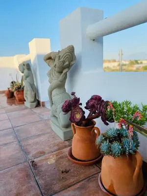a green plate of salad with tomatoes and lettuce at Palm View Guesthouse, adults only in Luz