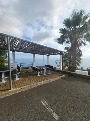 a bus stop with benches and a palm tree at Villa Paradise Madeira Ocean View in Fajã da Ovelha