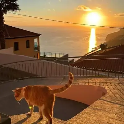 Beautiful View 1 - Arco da Calheta - Ilha da Madeira