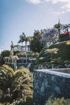 a garden with palm trees and a stone wall at VILLA QUINTA TORRINHA Rooms in Funchal