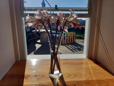 a vase filled with pink flowers sitting on a table at Casinha do Barreiro - Cosy Private Cottage in Vila do Porto